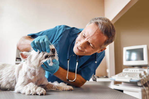 Best Emergency Denture Repair in Rm Beach, WA